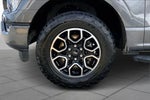 2023 F-150 Thumbnail 10