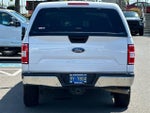 2020 F-150 Thumbnail 5