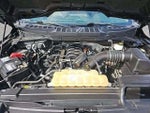 2021 F-150 Thumbnail 17