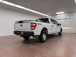 2021 F-150 Thumbnail 6