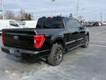 2021 F-150 Thumbnail 3