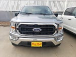 2021 F-150 Thumbnail 2