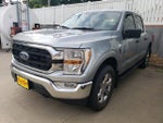 2021 F-150 Thumbnail 3