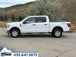 2022 F-150 Thumbnail 2
