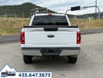 2022 F-150 Thumbnail 4
