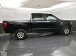 2022 F-150 Thumbnail 8