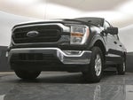 2022 F-150 Thumbnail 24