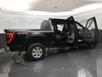 2022 F-150 Thumbnail 40