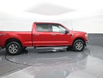 2022 F-150 Thumbnail 4