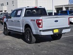 2022 F-150 Thumbnail 7