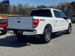 2022 F-150 Thumbnail 3