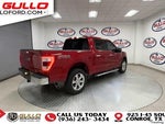 2022 F-150 Thumbnail 8