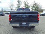 2023 F-150 Thumbnail 6