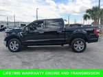 2023 F-150 Thumbnail 8