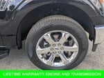 2023 F-150 Thumbnail 12