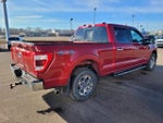 2023 F-150 Thumbnail 4