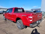 2023 F-150 Thumbnail 6