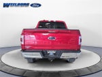 2023 F-150 Thumbnail 4