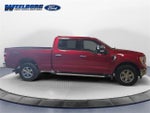 2023 F-150 Thumbnail 6