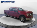 2023 F-150 Thumbnail 7