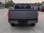 2023 F-150 Thumbnail 5