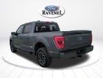 2023 F-150 Thumbnail 6