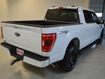2023 F-150 Thumbnail 3