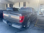 2023 F-150 Thumbnail 4