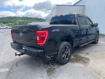 2023 F-150 Thumbnail 6