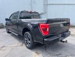 2023 F-150 Thumbnail 8