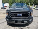 2023 F-150 Thumbnail 11