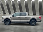 2023 F-150 Thumbnail 6