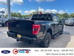 2023 F-150 Thumbnail 3