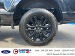 2023 F-150 Thumbnail 10
