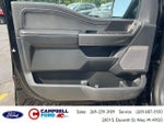 2023 F-150 Thumbnail 15