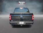 2023 F-150 Thumbnail 6
