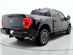 2023 F-150 Thumbnail 5