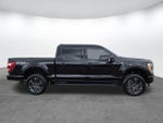 2023 F-150 Thumbnail 3