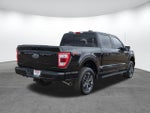 2023 F-150 Thumbnail 4