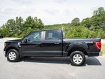 2023 F-150 Thumbnail 7