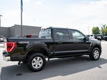 2023 F-150 Thumbnail 10