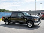 2023 F-150 Thumbnail 12