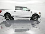 2023 F-150 Thumbnail 4