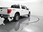 2023 F-150 Thumbnail 5