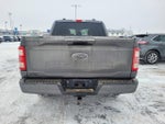 2023 F-150 Thumbnail 5