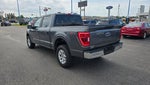 2023 F-150 Thumbnail 5