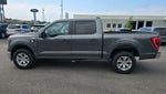 2023 F-150 Thumbnail 6