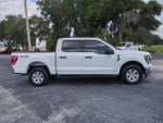 2023 F-150 Thumbnail 4