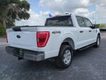 2023 F-150 Thumbnail 5