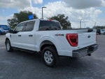 2023 F-150 Thumbnail 7